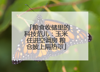 粮食收储里的科技范儿：玉米住进空调房 粮仓披上隔热罩