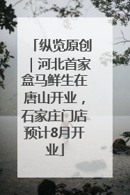 纵览原创｜河北首家盒马鲜生在唐山开业，石家庄门店预计8月开业
