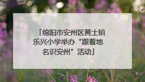 绵阳市安州区黄土镇乐兴小学举办“跟着地名识安州”活动