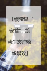 绶带鸟“安营” 绘就生态增收新景致