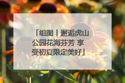 组图丨邂逅虎山公园花海芬芳 享受初夏限定美好