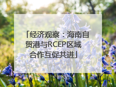经济观察：海南自贸港与RCEP区域合作互促共进