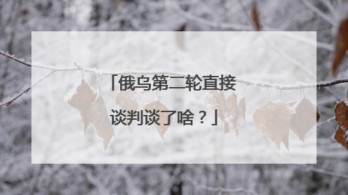 俄乌第二轮直接谈判谈了啥？