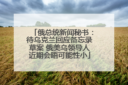 俄总统新闻秘书：待乌克兰回应备忘录草案 俄美乌领导人近期会晤可能性小