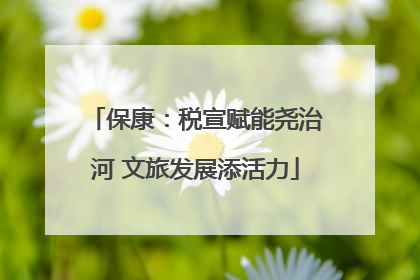 保康：税宣赋能尧治河 文旅发展添活力