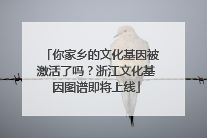 你家乡的文化基因被激活了吗？浙江文化基因图谱即将上线