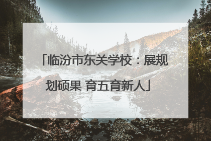 临汾市东关学校：展规划硕果 育五育新人