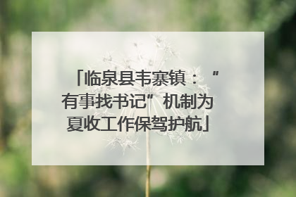 临泉县韦寨镇：“有事找书记”机制为夏收工作保驾护航