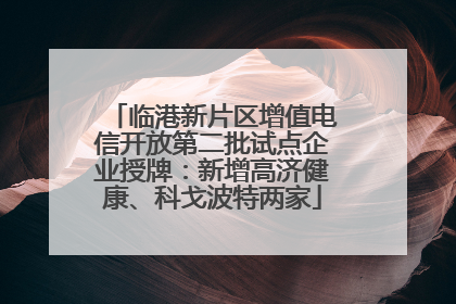 临港新片区增值电信开放第二批试点企业授牌：新增高济健康、科戈波特两家