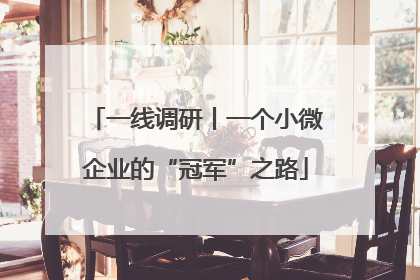 一线调研丨一个小微企业的“冠军”之路