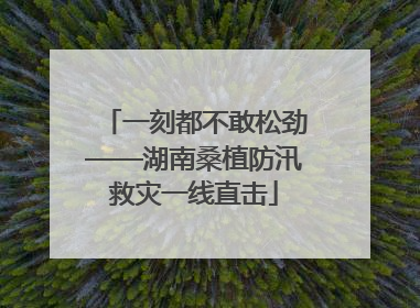 一刻都不敢松劲——湖南桑植防汛救灾一线直击