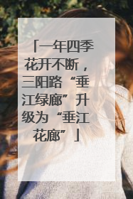 一年四季花开不断，三阳路“垂江绿廊”升级为“垂江花廊”