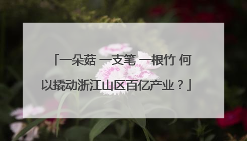 一朵菇 一支笔 一根竹 何以撬动浙江山区百亿产业？