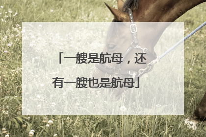 一艘是航母，还有一艘也是航母