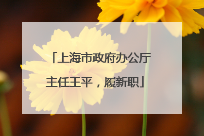 上海市政府办公厅主任王平，履新职