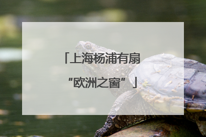 上海杨浦有扇“欧洲之窗”