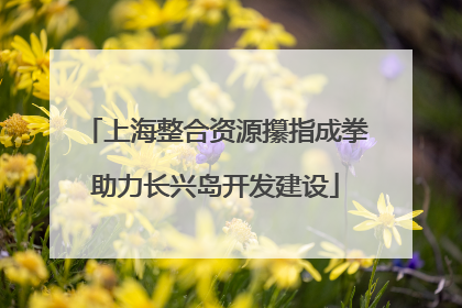 上海整合资源攥指成拳助力长兴岛开发建设