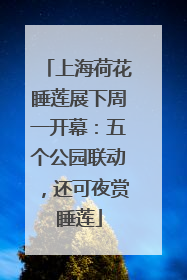 上海荷花睡莲展下周一开幕：五个公园联动，还可夜赏睡莲