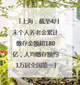 上海：截至4月末个人养老金累计缴存金额超180亿，人均缴存额约1万居全国第一
