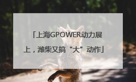 上海GPOWER动力展上，潍柴又搞“大”动作