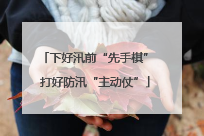 下好汛前“先手棋” 打好防汛“主动仗”