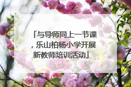 与导师同上一节课，乐山柏杨小学开展新教师培训活动