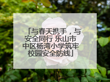 与春天携手，与安全同行 乐山市中区杨湾小学筑牢校园安全防线