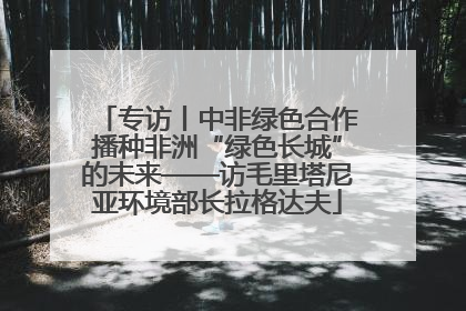 专访丨中非绿色合作播种非洲“绿色长城”的未来——访毛里塔尼亚环境部长拉格达夫