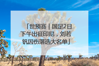 世预赛｜国足2日下午出征印尼，刘若钒因伤落选大名单