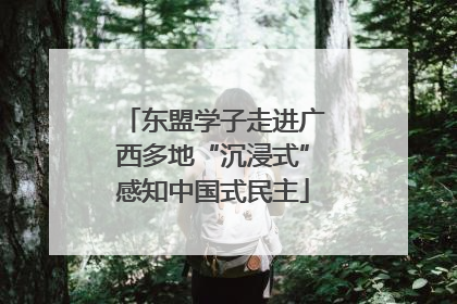 东盟学子走进广西多地“沉浸式”感知中国式民主