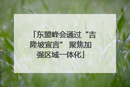 东盟峰会通过“吉隆坡宣言” 聚焦加强区域一体化