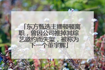 东方甄选主播顿顿离职，曾因公司推掉其综艺邀约而失望，被称为下一个董宇辉