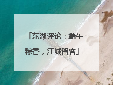 东湖评论：端午粽香，江城留客