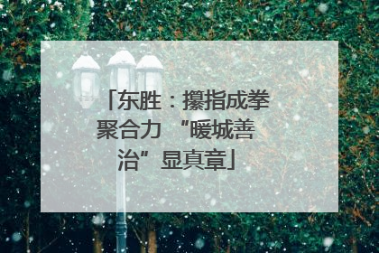 东胜：攥指成拳聚合力 “暖城善治”显真章