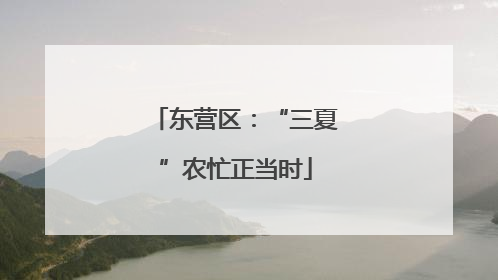 东营区：“三夏”农忙正当时
