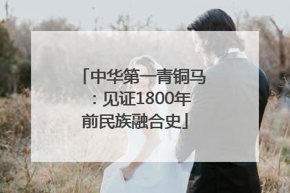 中华第一青铜马：见证1800年前民族融合史