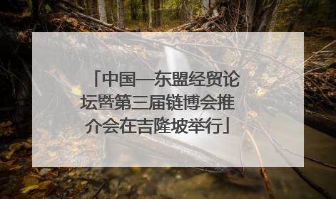 中国—东盟经贸论坛暨第三届链博会推介会在吉隆坡举行