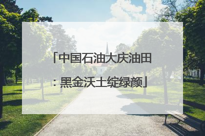 中国石油大庆油田：黑金沃土绽绿颜
