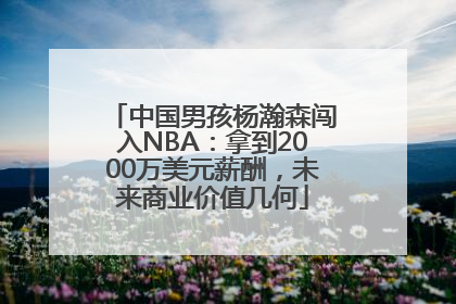 中国男孩杨瀚森闯入NBA：拿到2000万美元薪酬，未来商业价值几何