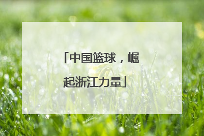 中国篮球，崛起浙江力量