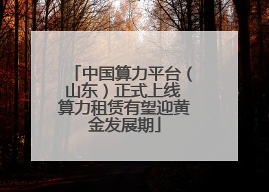 中国算力平台（山东）正式上线 算力租赁有望迎黄金发展期