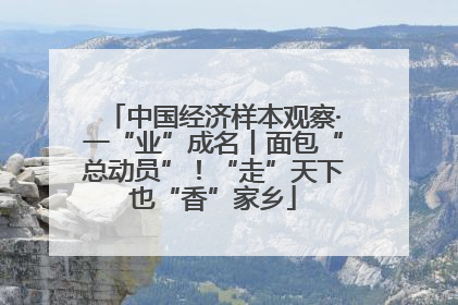 中国经济样本观察·一“业”成名丨面包“总动员”！“走”天下也“香”家乡