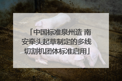 中国标准泉州造 南安牵头起草制定的多线切割机团体标准启用