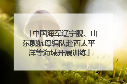中国海军辽宁舰、山东舰航母编队赴西太平洋等海域开展训练