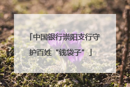 中国银行崇阳支行守护百姓“钱袋子”