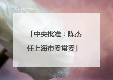 中央批准：陈杰任上海市委常委