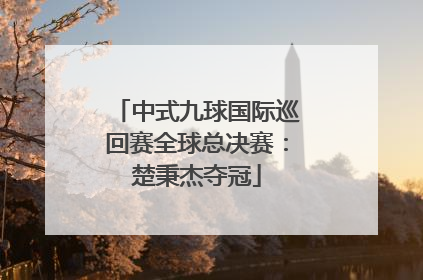 中式九球国际巡回赛全球总决赛：楚秉杰夺冠