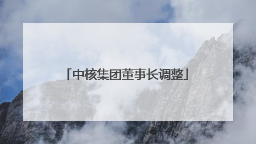 中核集团董事长调整