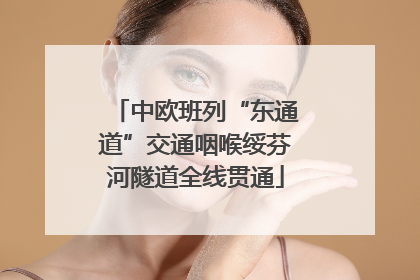 中欧班列“东通道”交通咽喉绥芬河隧道全线贯通