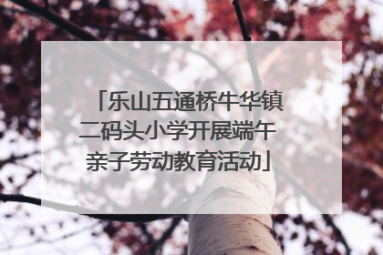 乐山五通桥牛华镇二码头小学开展端午亲子劳动教育活动